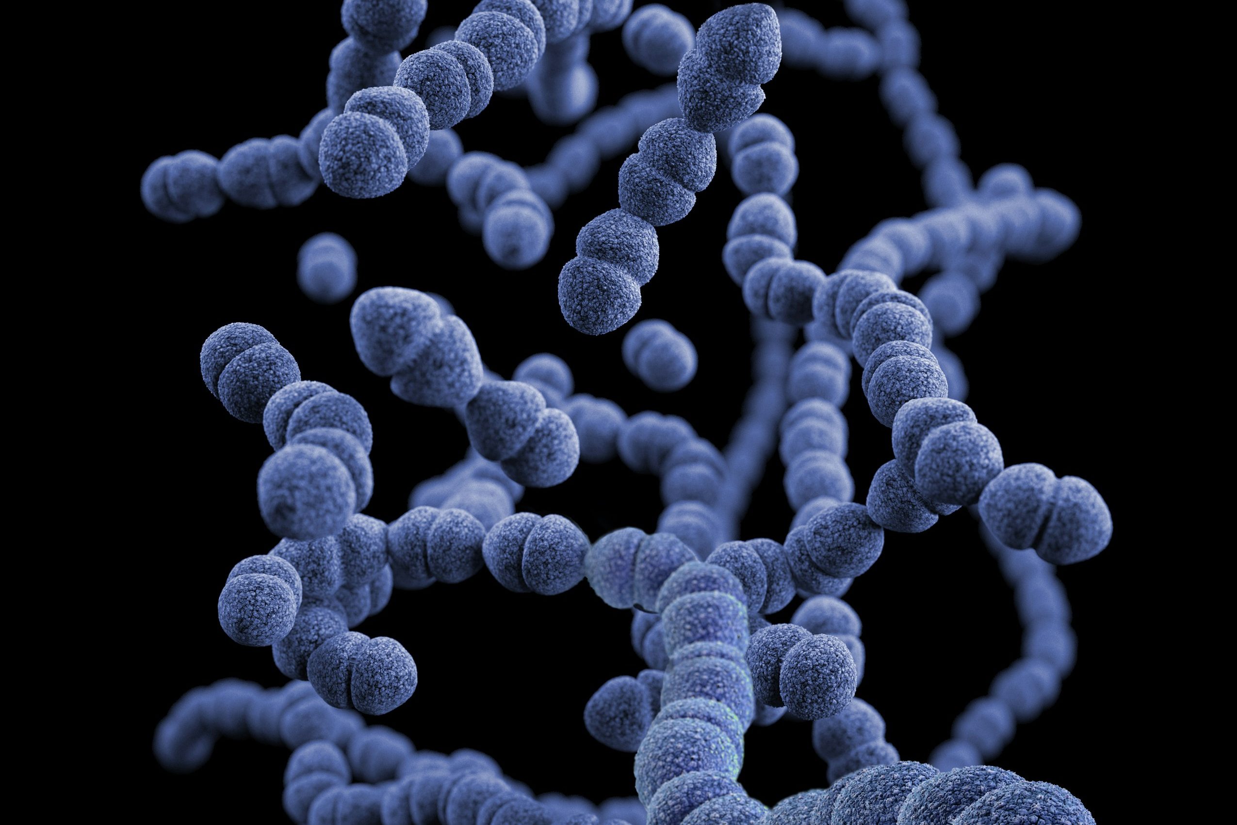 Feeding your oral microbiome